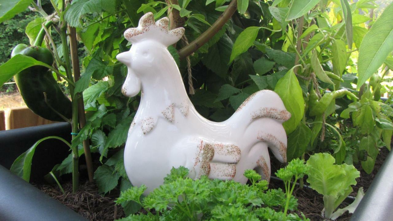 블레드 Garden Living 아파트 외부 사진
